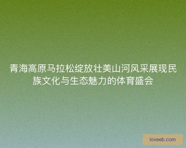青海高原马拉松绽放壮美山河风采展现民族文化与生态魅力的体育盛会