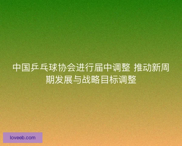 中国乒乓球协会进行届中调整 推动新周期发展与战略目标调整
